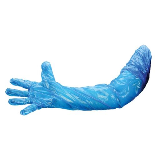 Polietileninės Ilgos vienkartinės pirštinės Polyco GL2950 mėlynos, maišelyje, L (100vnt) - Image 1